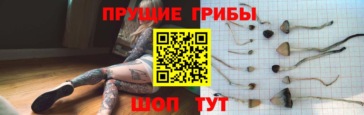 Галлюциногенные грибы Cubensis  Псилоцибиновые грибы Magic Shrooms  Пушкино  Вход с VPN 